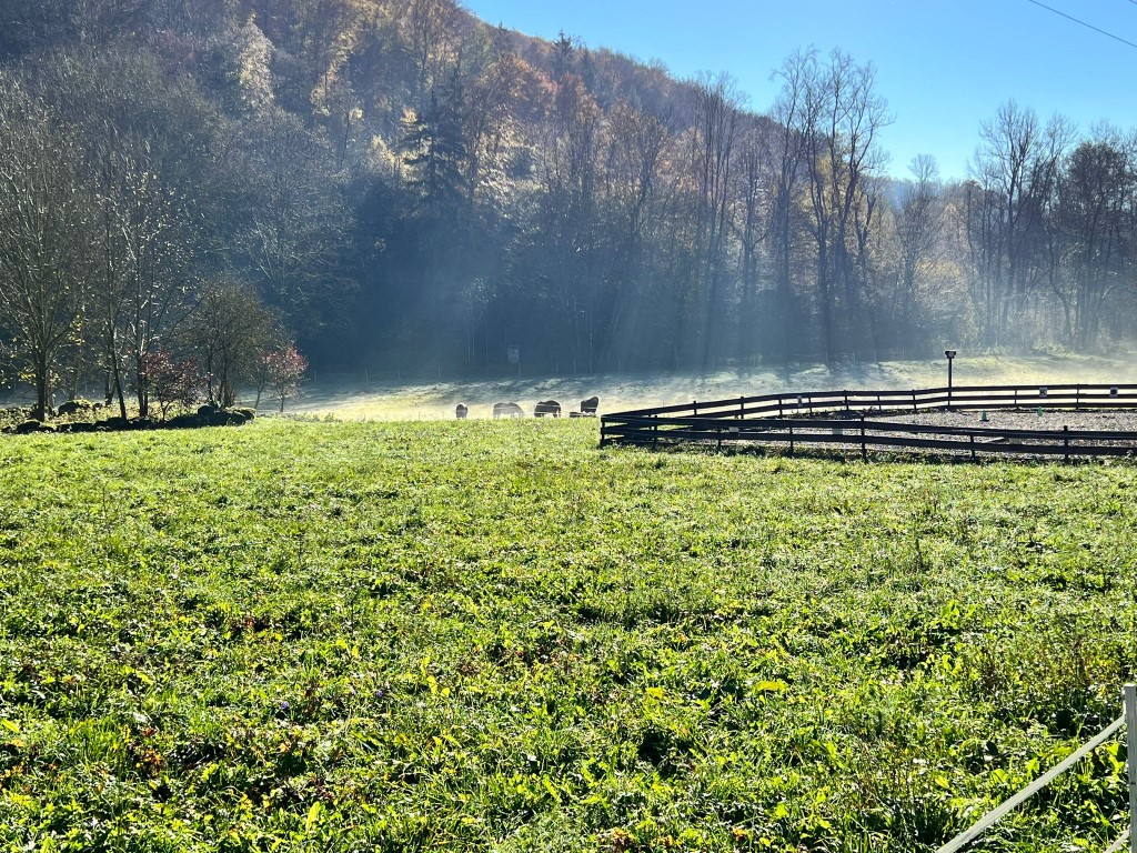 Bild von Liebesdorf 3