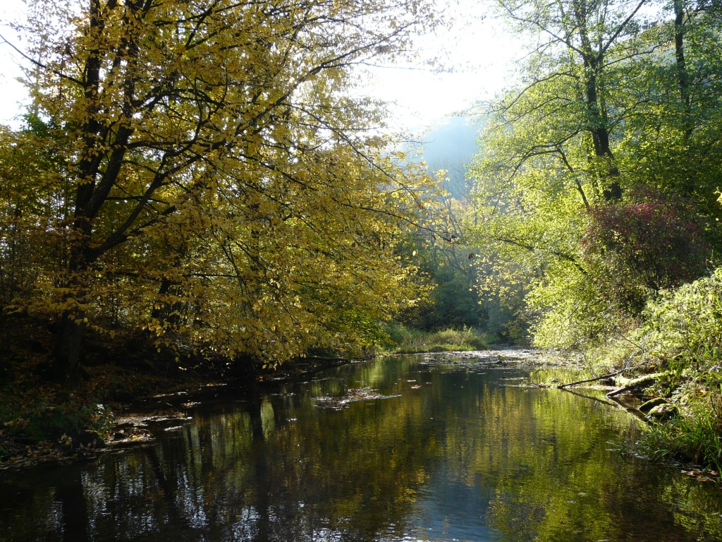 Bild von Liebesdorf 6